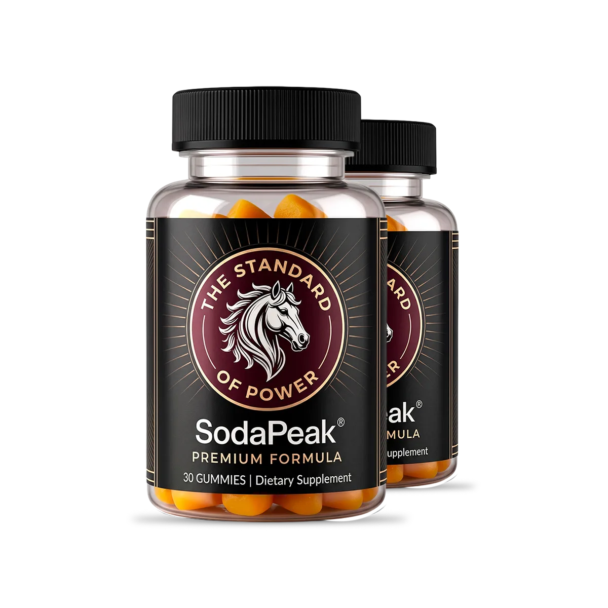 SodaPeak 2 bottle